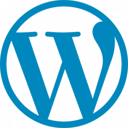 Web Design Services &#038; Features, Raxa Sites